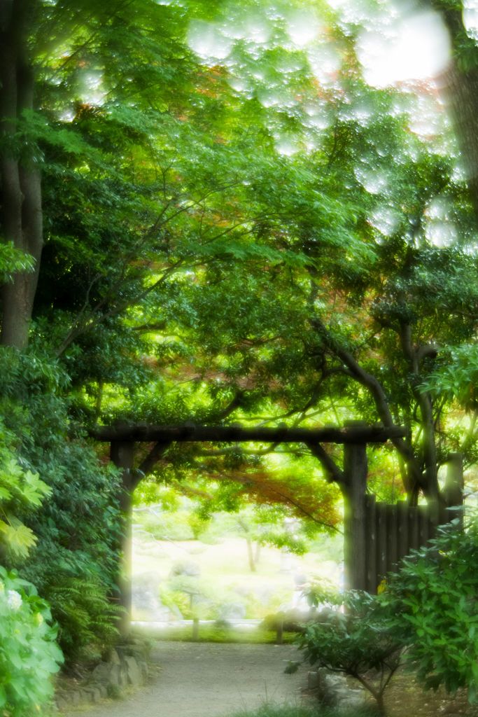 清澄庭園散策 1