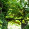 清澄庭園散策 1