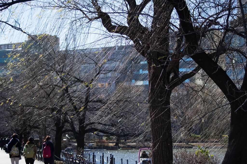 上野公園写ん歩...04