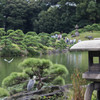 鷺と鳩とそして人人人...＠清澄庭園
