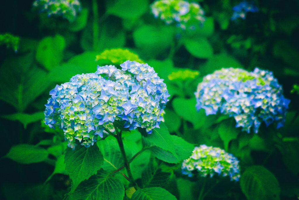 少しずつ少しずつ...01