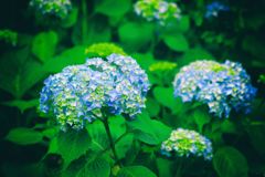 少しずつ少しずつ...01