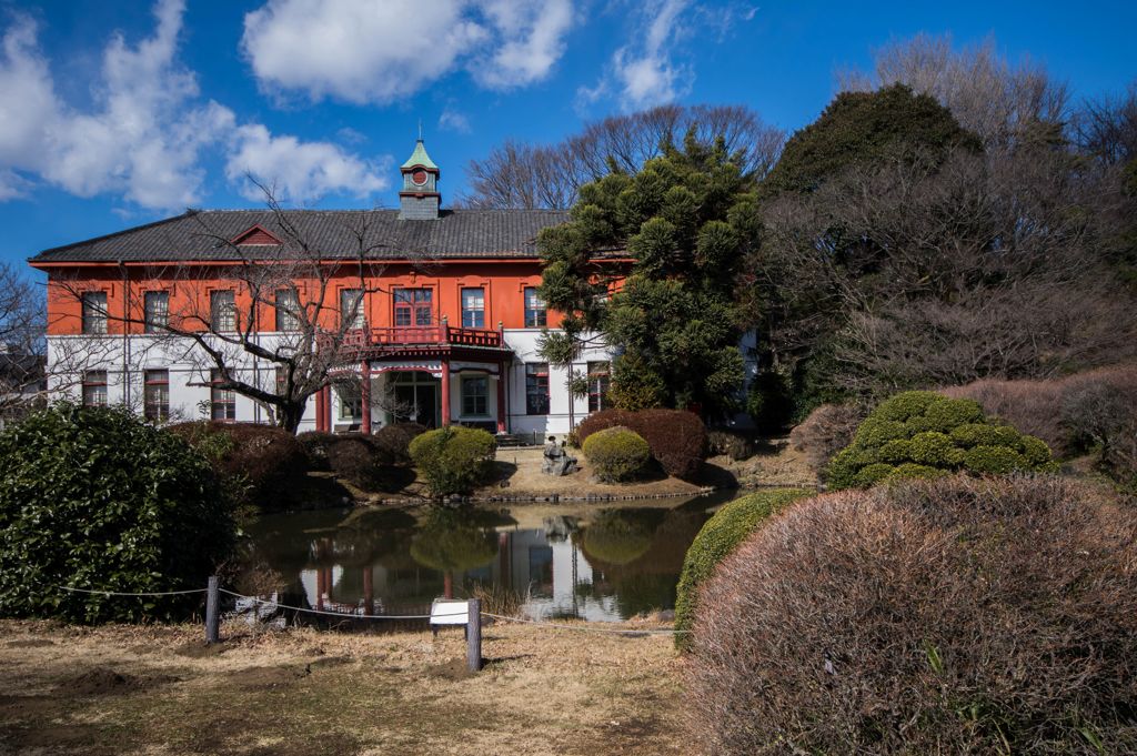小石川植物園写ん歩...04