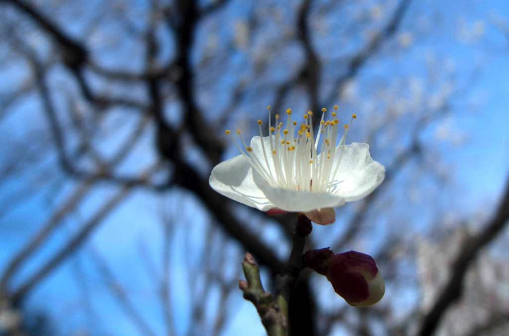 蕊と空...03