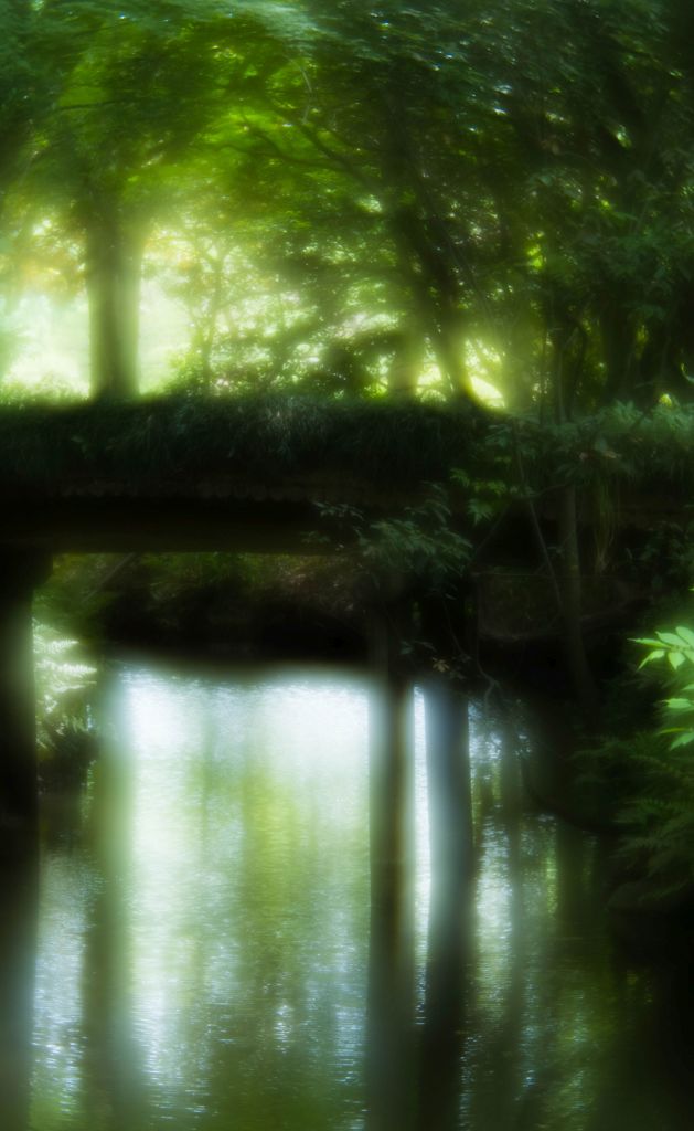 癒されます 1