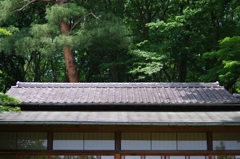 明治神宮御苑、隔雲亭