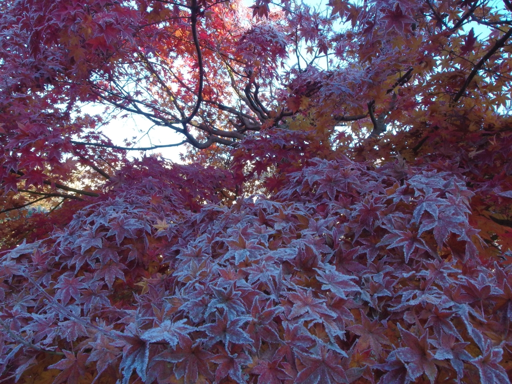 爽やかな朝　04