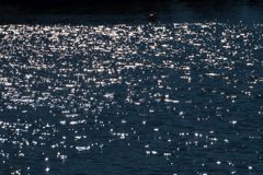 東京湾の水面の輝き