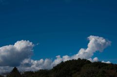 秋の空...積雲