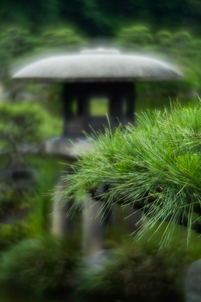清澄庭園散策 3