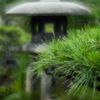 清澄庭園散策 3