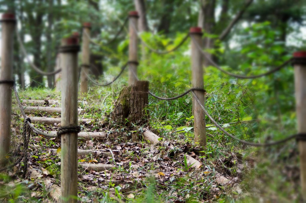 秋の香りする小路