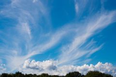 秋の空...巻雲