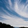 秋の空...巻層雲