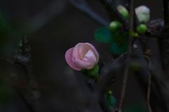 北の丸公園写ん歩...03
