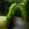 緑のトンネル＠殿ヶ谷戸庭園