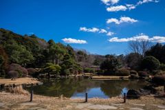 小石川植物園写ん歩...03