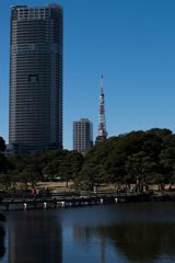 んっ！東京タワーより高いビル..(^^;