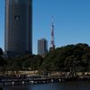 んっ！東京タワーより高いビル..(^^;