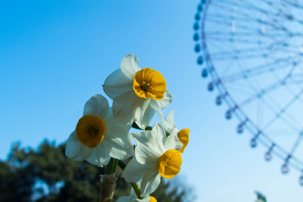 写ん歩見たまんま...01