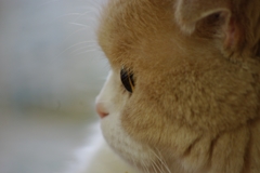 真剣な眼差し.........