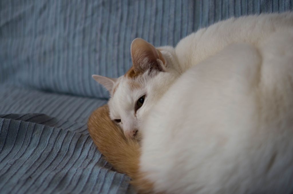 気持ちよく寝てたのに～