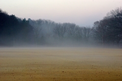 霧を撮る