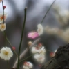 柔らかく優しく....01