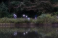 何かを見つけたようですね