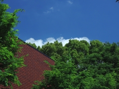 碧い空と白い雲、そして深緑、美術館.....