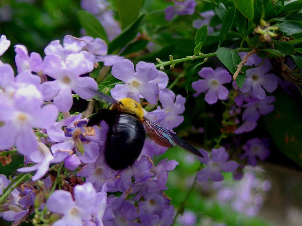 今日の出会い...01