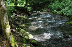 IMG_0061