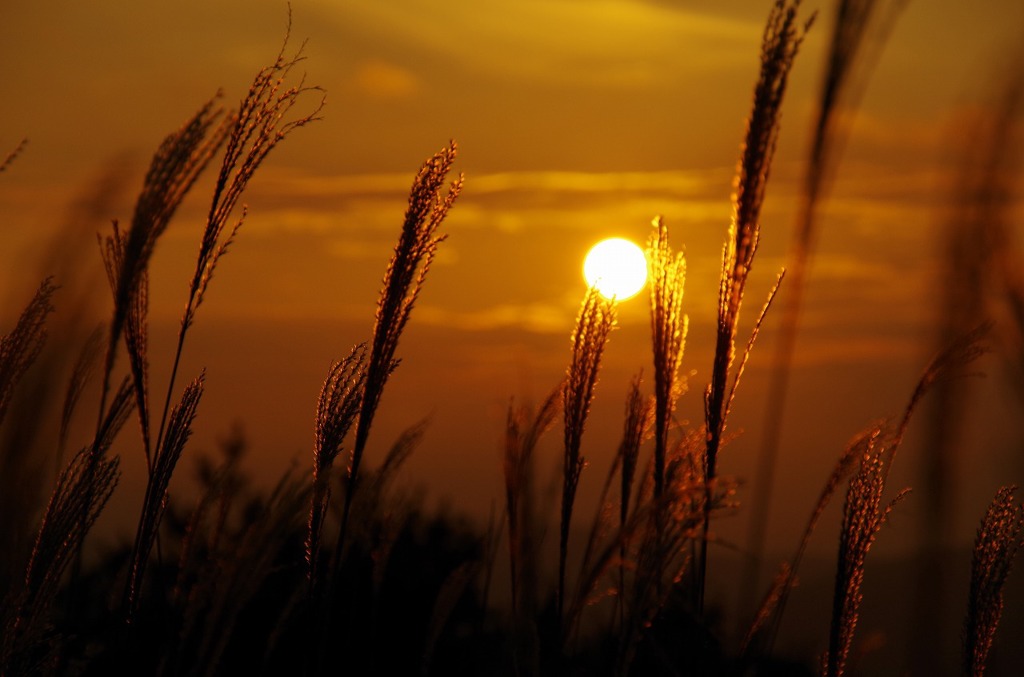 曽爾高原の夕焼け