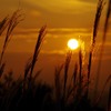 曽爾高原の夕焼け