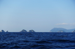甑島双子島・沖の島・黒神釣行