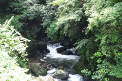 市ノ俣川のせせらぎ