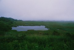 霧の八島湿原　(フィルムスナップ)