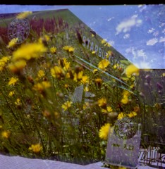 フィルムの残像