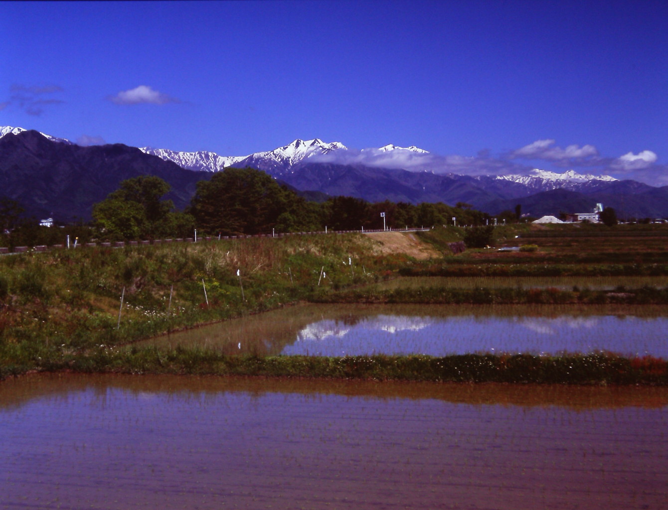 五月の白馬連峰２　（フィルムの残像）