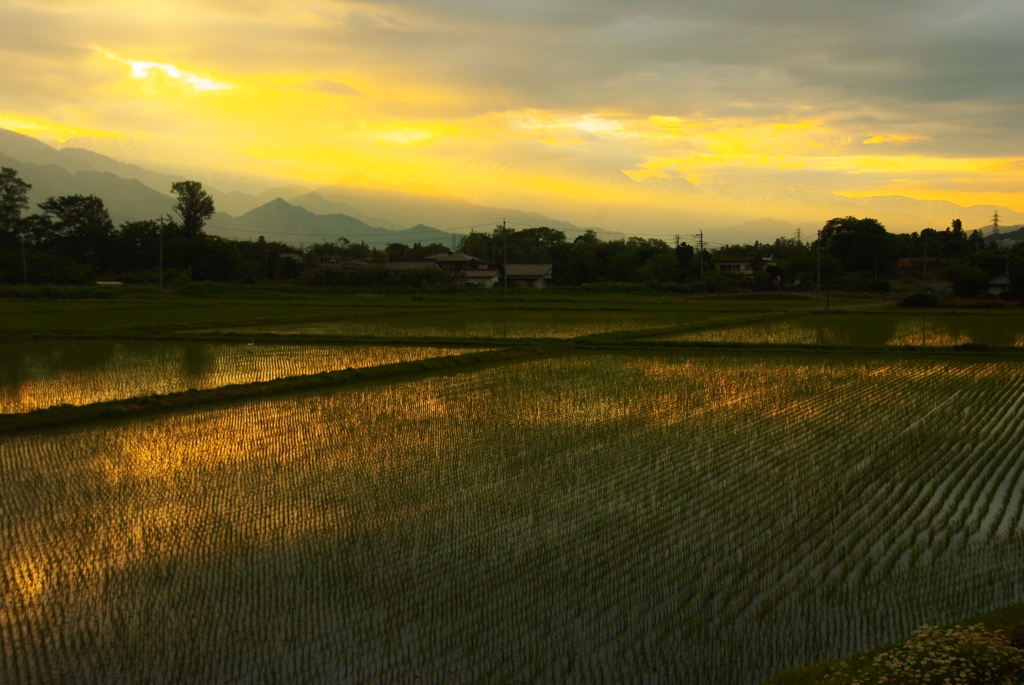 夕景