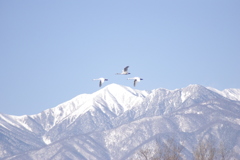 飛翔常念岳１