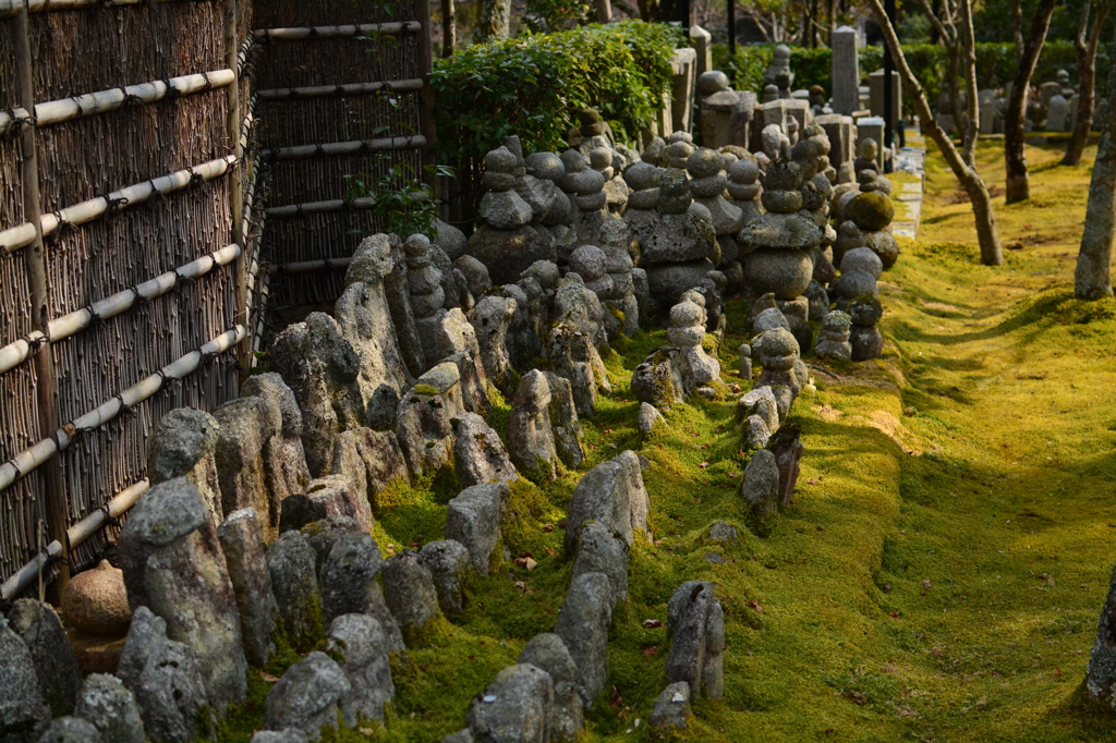 苔むす庭　（化野念仏寺）