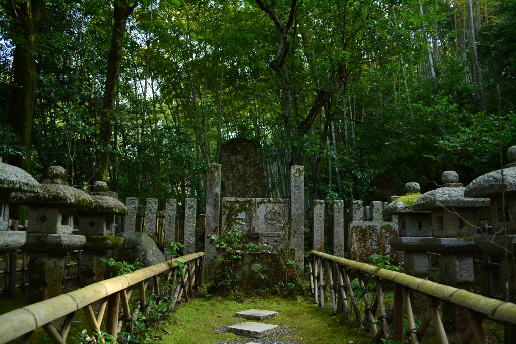 名将　（滝口寺）