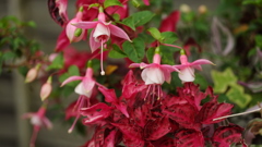 花づくし　２