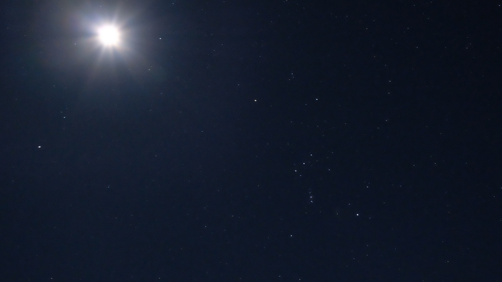 冬の星座