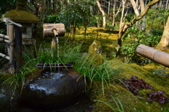 静けさ　（祇王寺）