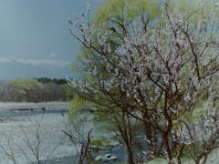 川のほとり　（フィルムの残像　２）