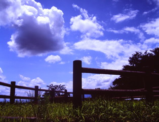 夏の雲　（フィルムの残像）