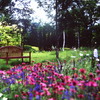花園の昼下がり　（フィルムの残像）