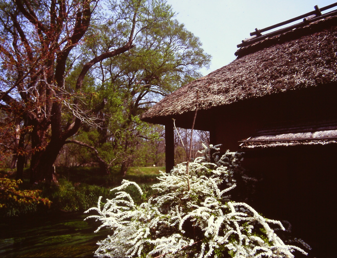 水車小屋の影で・・・　(フィルムの残像)